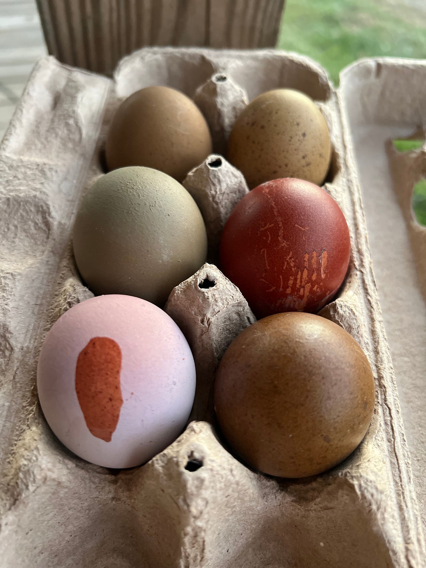 The Timber Hill Collection