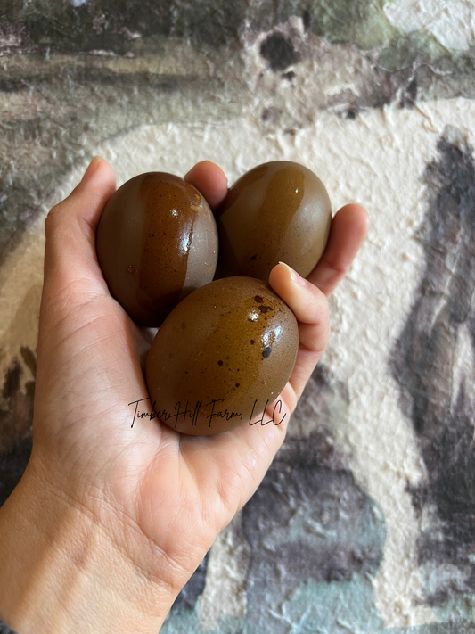 The Timber Hill Collection